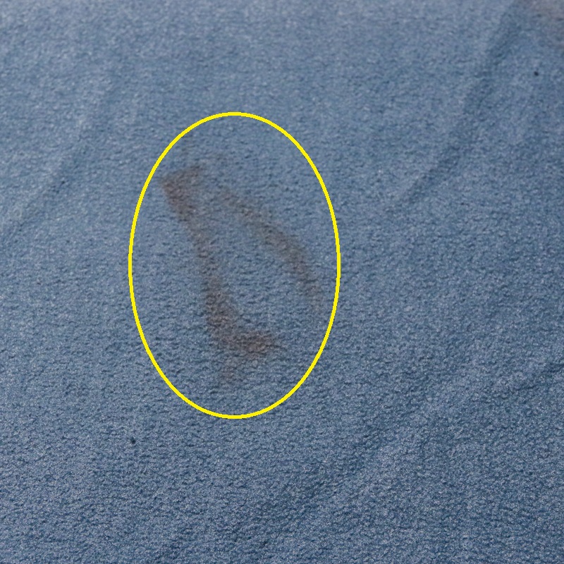 COUVERTURE DE MARCHEUR HARRY'S HORSE FLEECE HH 3