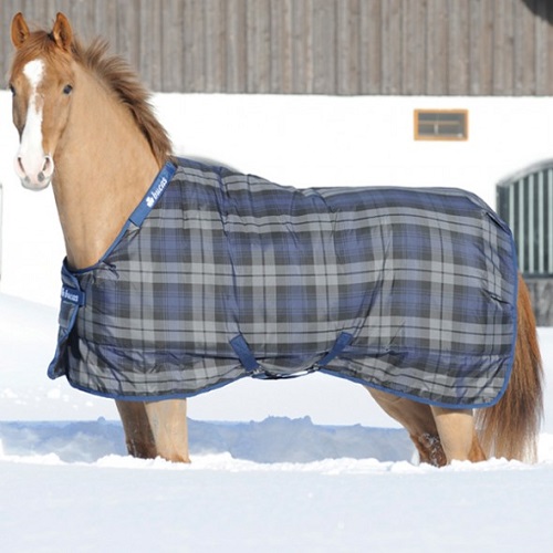 CELTIC STABLE EXTRA CELTIC STABLE EXTRA