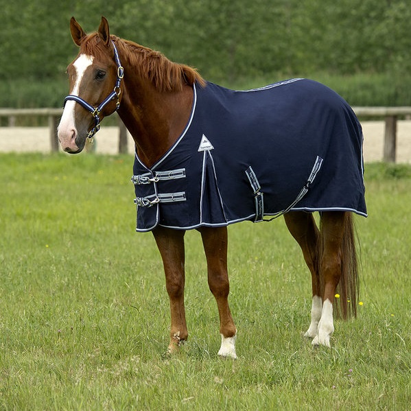 Perseus invoer fles ZOMERDEKEN EQUI-THEME - KATOEN [X400070053] - €28.95 : HBHorses - Outlet  paardenwinkel: alles voor ruiter en paard, HBHorses Outlet