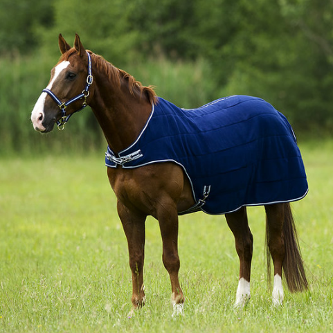 TRAININGSDEKEN FLEECE EQUI-THEME TRAININGSDEKEN FLEECE EQUI-THEME