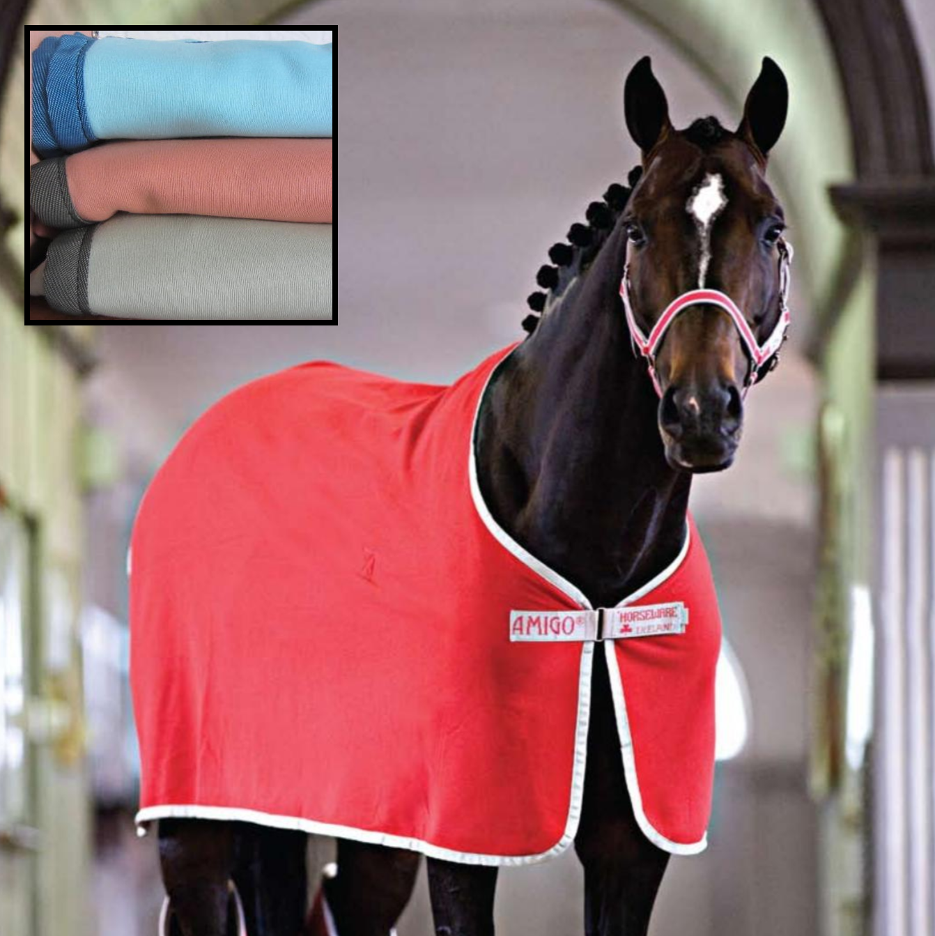 AMIGO JERSEY COOLER [Z 0020 HW] - €21.44 : HBHorses - Outlet paardenwinkel: alles voor ruiter en HBHorses Outlet