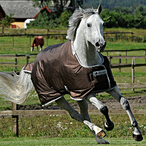 SMARTEX RAIN SMARTEX RAIN