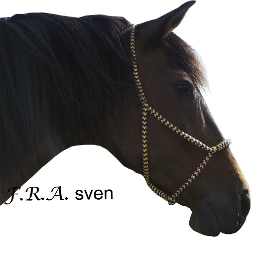 Fractie Opheldering magnetron NH toebehoren : HBHorses - Outlet paardenwinkel: alles voor ruiter en paard, HBHorses Outlet Fractie Opheldering magnetron NH toebehoren : HBHorses - Outlet paardenwinkel: alles voor ruiter en paard, HBHorses Outlet